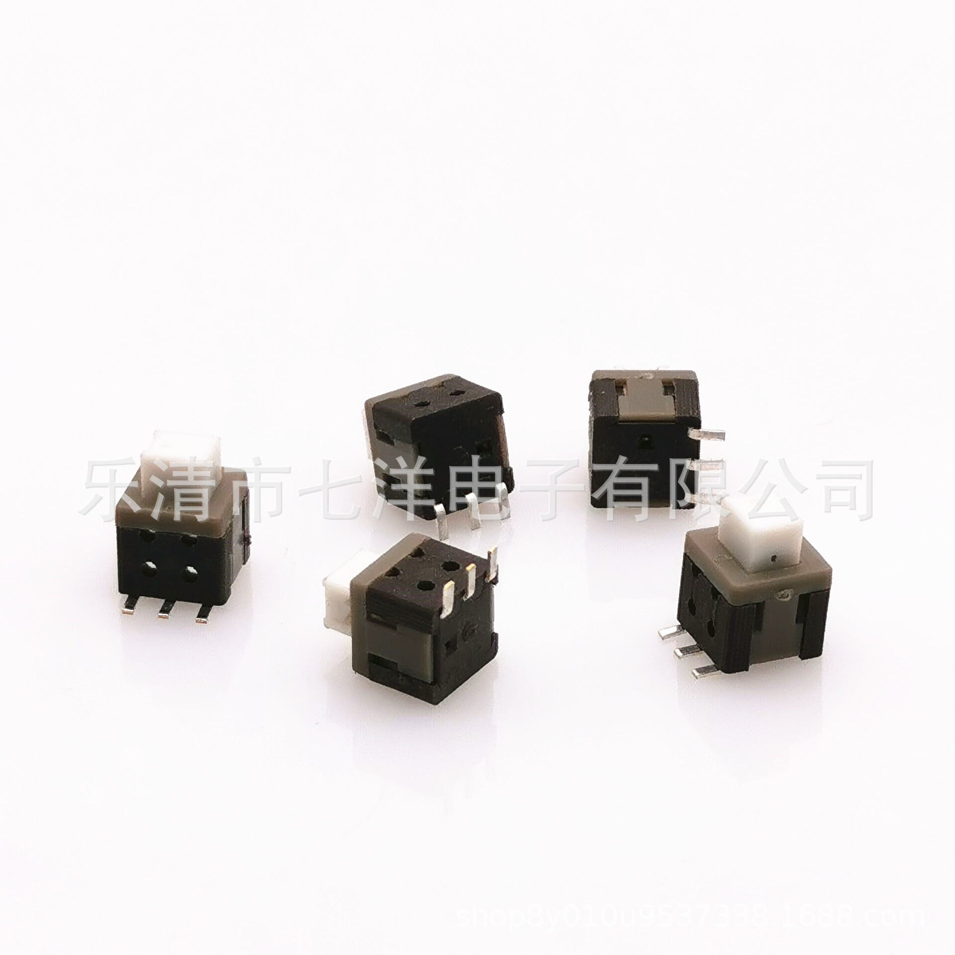 Double row switch key