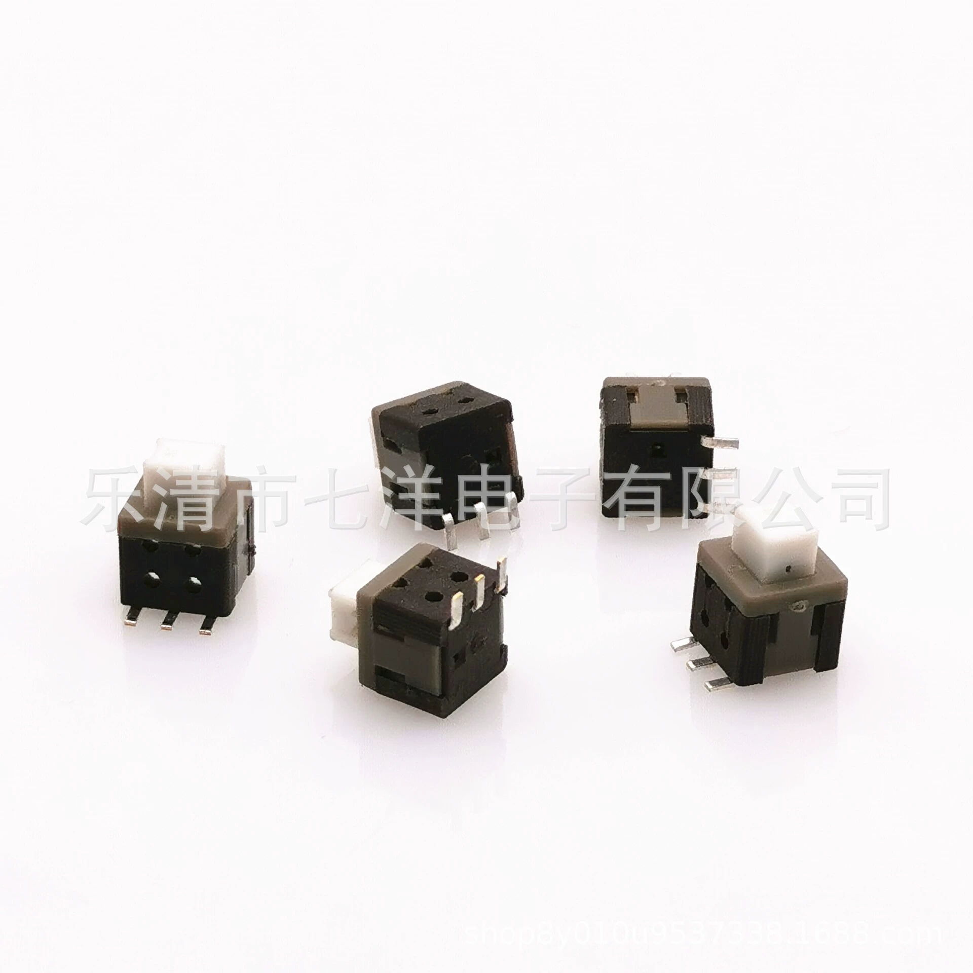 Double row switch key