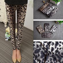 �������������@�ݱ��y�����ŷ�С�_ѝ���ѝLeggings���uͨ؛Դ