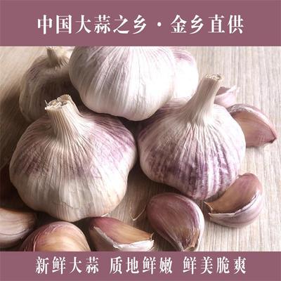 Country of Origin wholesale Jinxiang Garlic 20 Garlic Vegetables Preferred Produce Collection Processing