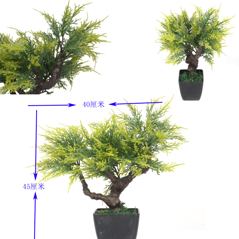 XRS-007 盆栽小柏树叶0.45米6.jpg