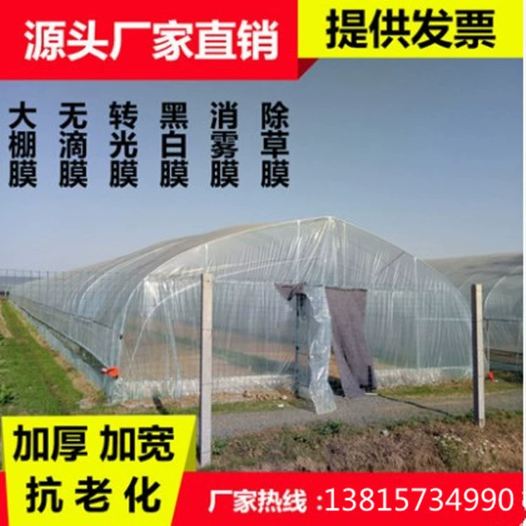 Пластиковая пленка Пленка для теплицы Утолщенный свет Прозрачная пластиковая ткань Прозрачное уплотнение окон Ветрозащитная теплозащита Холодная теплая непромокаемая