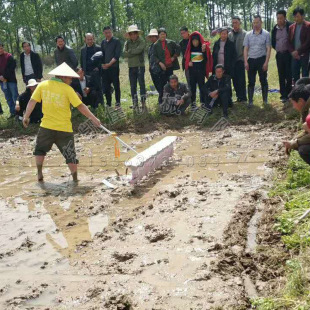 �ȷN�c���C ˮ������ˮ�����N�C �r�ÙCеˮ��ֱ���C ˮ�����N�C