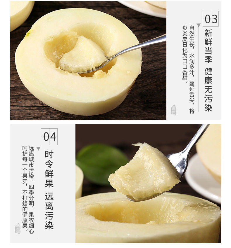 3e18817dc6a481f5c932ab498a7bdd