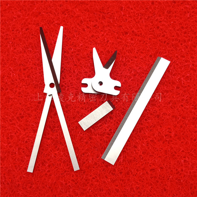 ҹӦֻе ֻε ֶ ׸СƬ