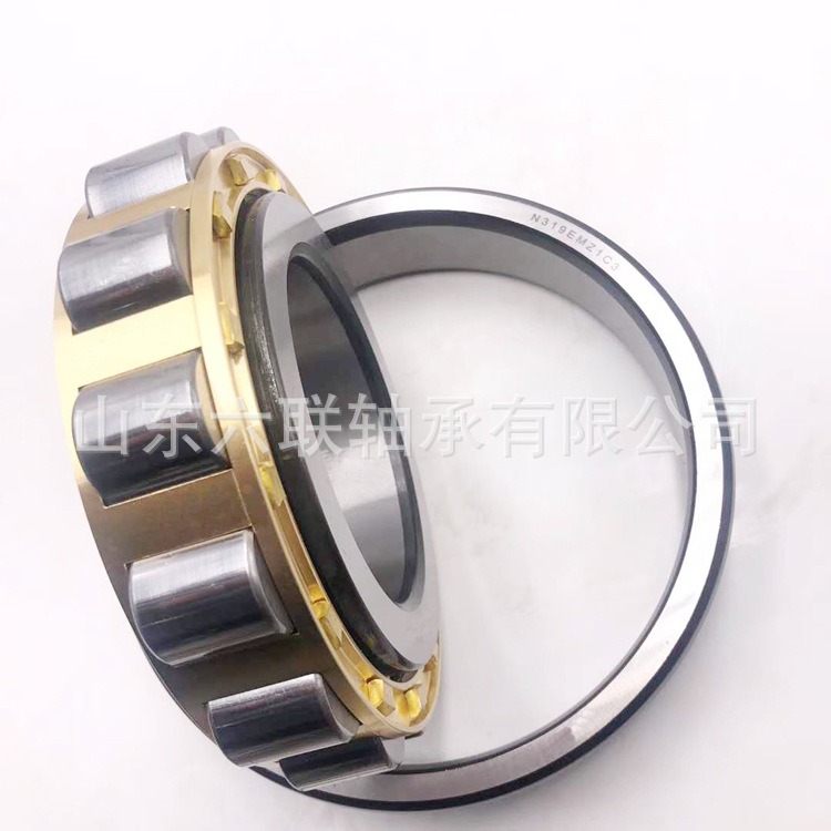 N系内圈带挡边圆柱滚子轴承 高速旋转游动端轴承 N319EMZ1C3轴承