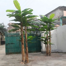 厂家供应 过胶叶芭蕉树 仿真盆栽假香蕉叶 可按要求做 居家绿植摆