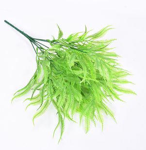 ϲ ֲﴺֲ Pβˮ 廨ˇ