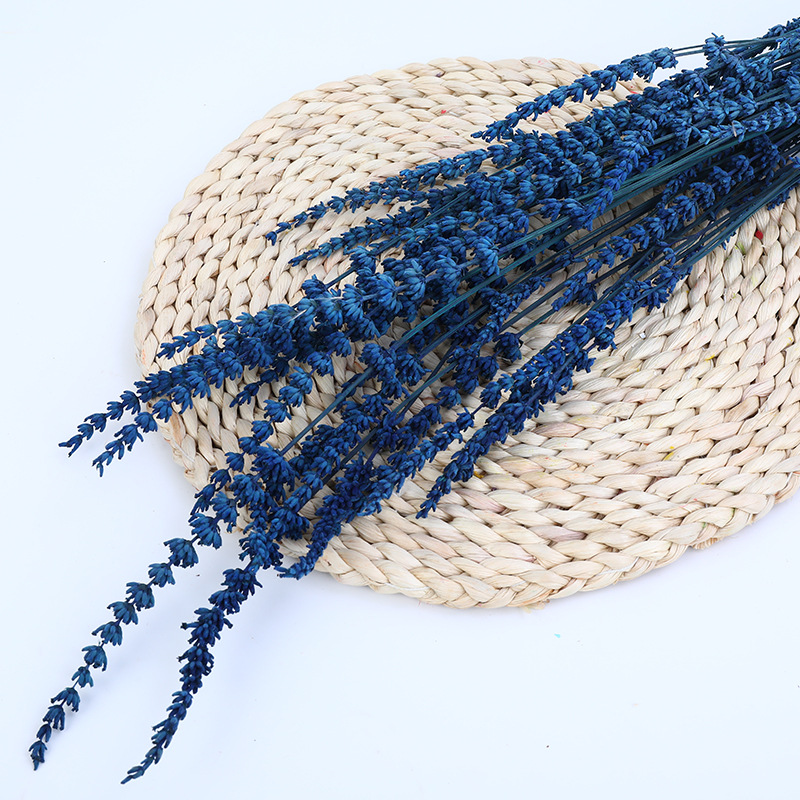 54b7fea3b6f06c43de81757b66b1d3