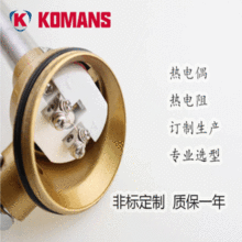 SҹK͟ż WRN-130 늟żP䓹304 310S 2520