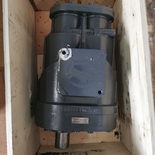 �Չ��C�C�^ Skk99ELM-NBI