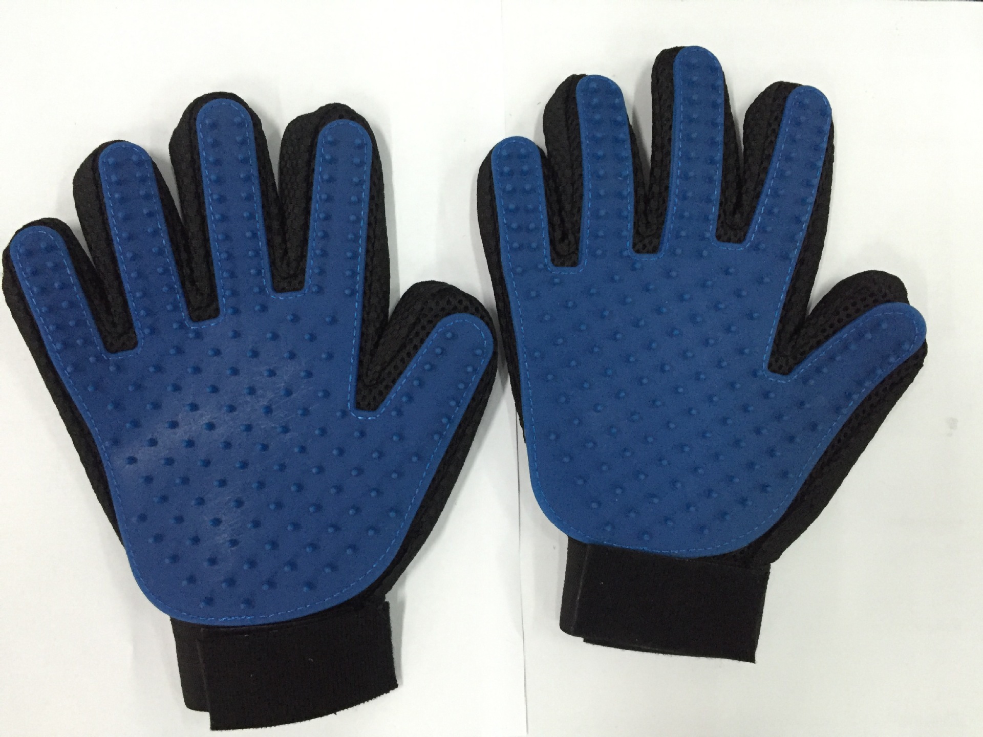 3383038677_484843333