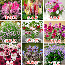 ļҰMϷNӶN_ѻ߲˷NͥԺG