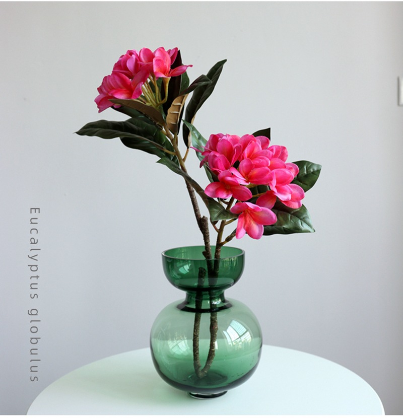 Plumeria6.jpg