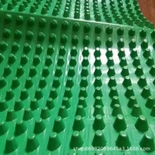 30凸殼式塑料排水板 朋英供應屋頂綠化排水板  凹凸型塑料排水板