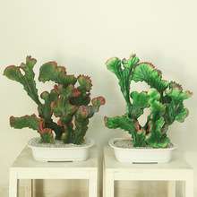 �S�ҹ��� �������ֲ������������ �҃Ȕ[���辰�Gֲ���������