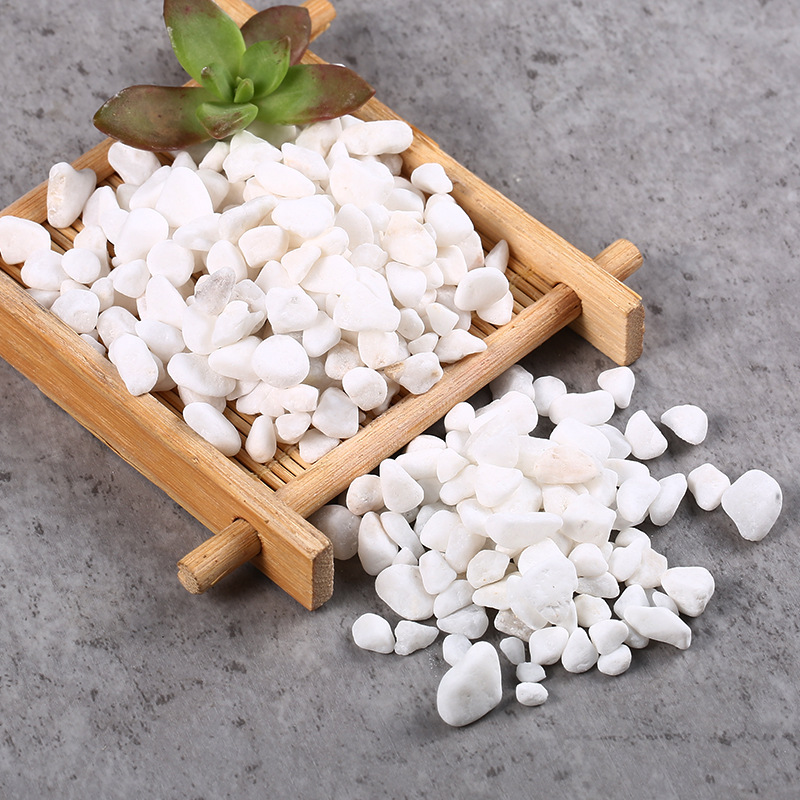 一键复制_20200807111647