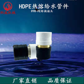 PPR 转PE转换接头 铜活接转换接头 PPR水管管件配件 水暖配件