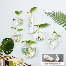 清新绿植水培玻璃花瓶创意透明壁挂件墙面插花绿萝花瓶装饰工艺品