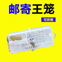 多功能蜂王笼蜜蜂邮寄王笼大号小号中意蜂储王笼透明塑料