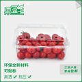 果盒王500M一斤水果包装盒透明水果盒一次性PET水果草莓包装盒