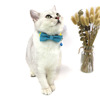 Choker, cute small bell, bow tie, pet, cat