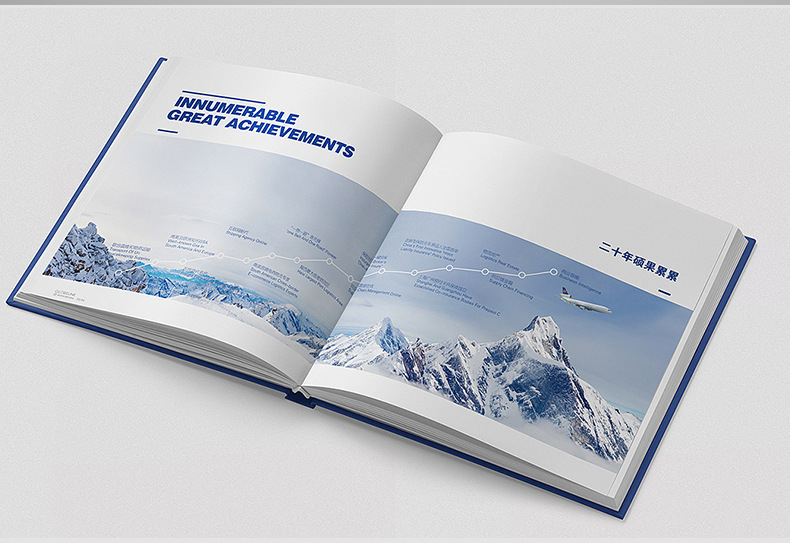 Flyers Posters Album Printing Album Printing Brochure Customization