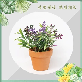 仿真绿植;圣诞装饰品;永生花