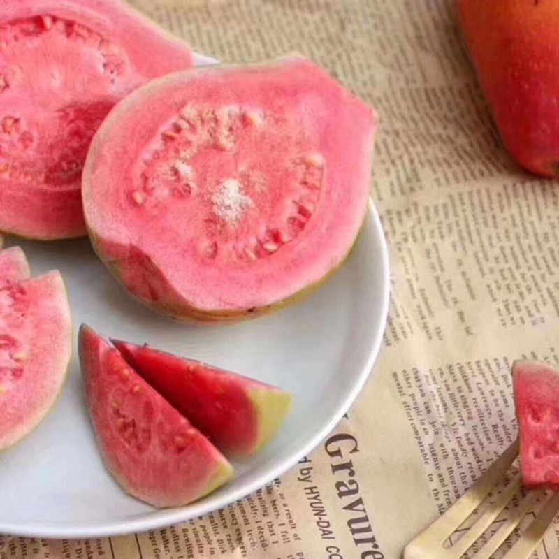 2e541c4e6d4e619c0a0557717927ee