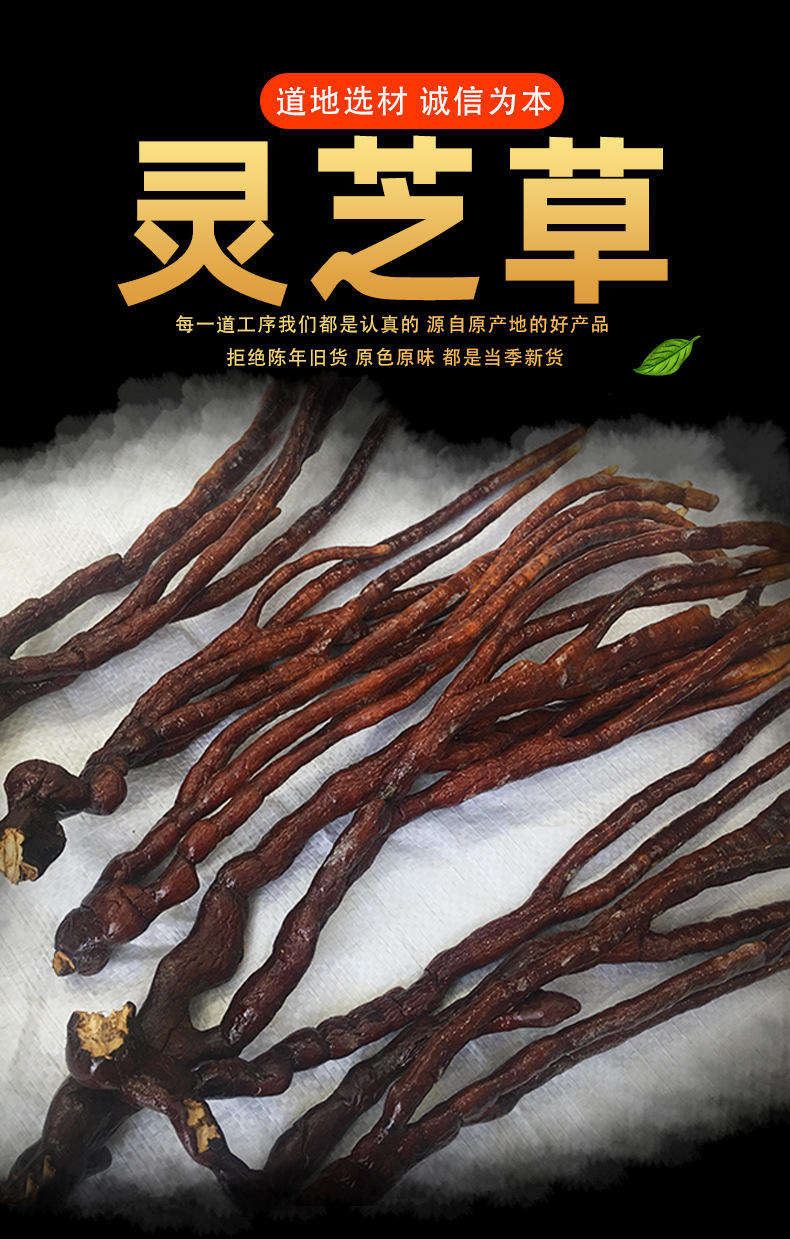 Ling Zhi Cao Dried Ganoderma Herb Whole Pieces for Tea Wine Infusion and Decoction 500g key features