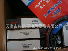 IKO�S��RNA4919  �F؛  ԭ�b   ���N��