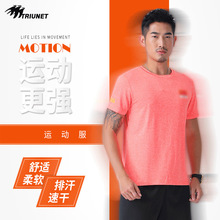 运动速干t恤 韩版休闲运动T恤供应 新款圆领短袖男女运动速干t恤