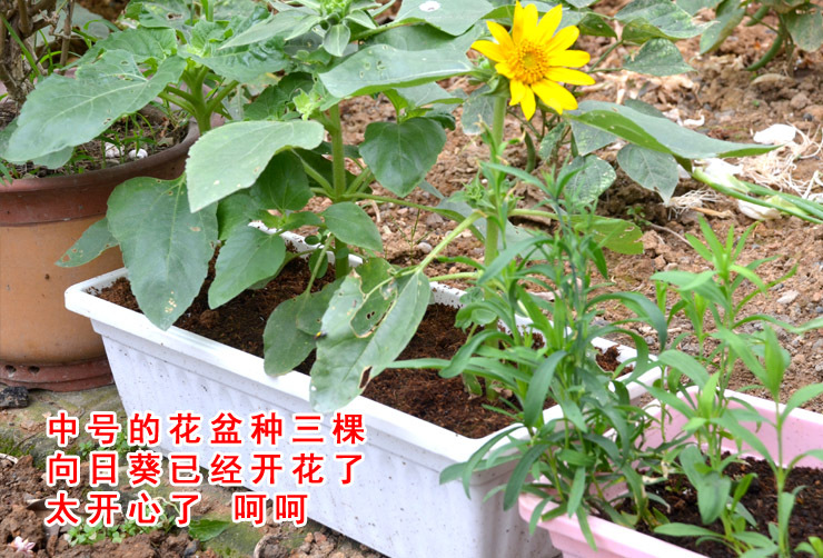 TB2K_eMa.lnpuFjSZFjXXXTaVXa_!!