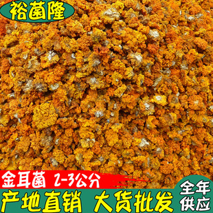 ��ԣ��¡�� ��� ���S�� �Ƶ�����2-3���� �S����a�ش�؛���l