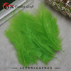 Spot balloon balloon filling Bobo built -in feathers color sharp tail feather turkey hair wholesale