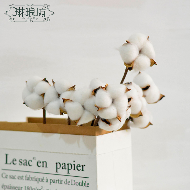 Algodón seco con varillas grandes flores cajas de regalo ramo de flores decoración gran cabeza de algodón blanco Navidad Festival de Primavera Flor eterna