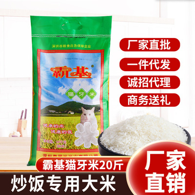 炒飯專用大米 霸基貓牙米10KG批發廠家直批籼米20斤優質湖北新米