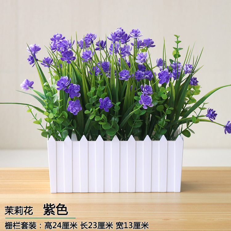 울타리 재스민 퍼플]