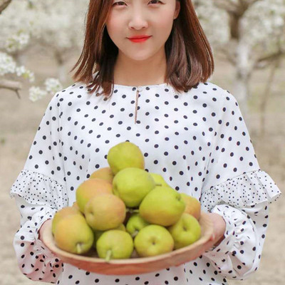 團購代理新疆庫爾勒香梨10斤梨子大果新鮮當季水果梨整箱廠家批發