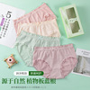 Plant lamp, underwear, antibacterial lace trousers, pants