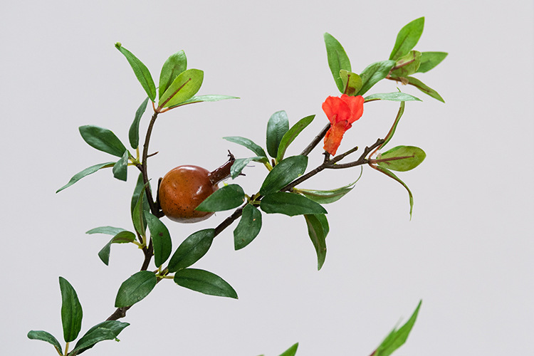5头石榴带花 红绿色_05.jpg