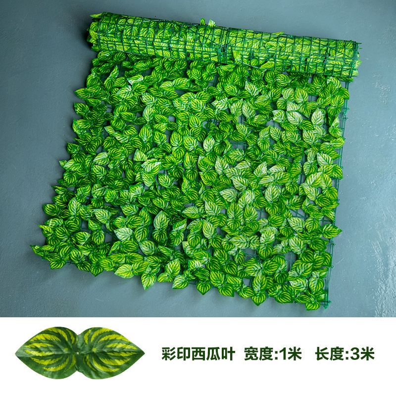 17550788043_77184706