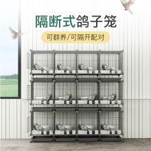 鸽子笼大号家用养殖信鸽配对笼肉鸽繁殖笼子特大户外鸽子大型鸽舍
