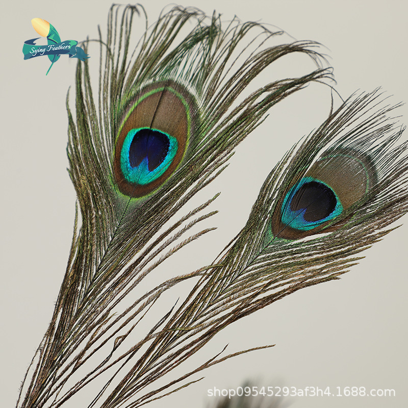 孔雀毛羽毛主图1.png