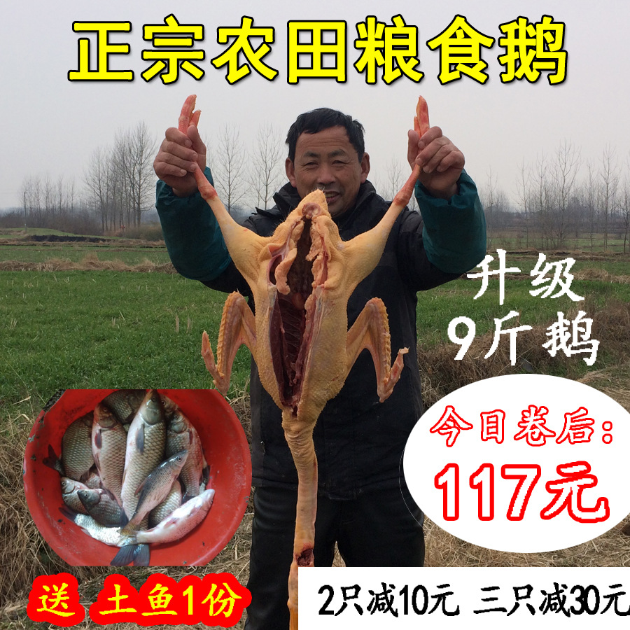 鵝肉新鮮大鵝 鵝肉整只新鮮 活鵝肉現殺冷凍鵝農家散養大白鵝整只