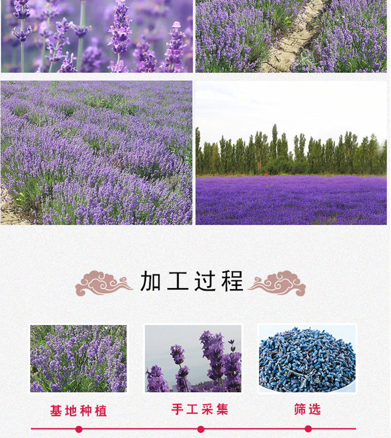 Dried Lavender Buds Xinjiang薰衣草 Xun Yi Cao 500g Aromatic Sachet Filler and Herbal Tea details