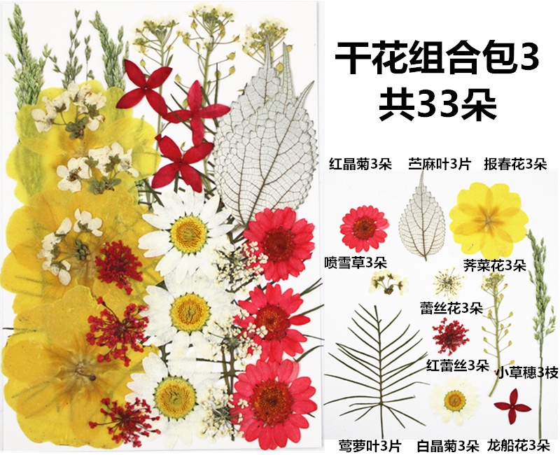 IMG_3616_副本_副本