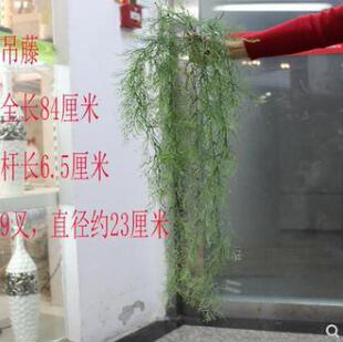�Wʽ���滨����ֲ�� �|��9���R������ٵ��ٸ߷������С����