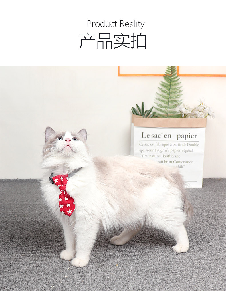 new pet collar bow tie cats and dogs universal fashion accessories small accessories adjustable cute pet tiepicture5
