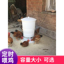 鸡鸭鹅全自动定时喂鸡投料机养鸡自动喂食器鸡料桶喂鸡神器鸡食槽